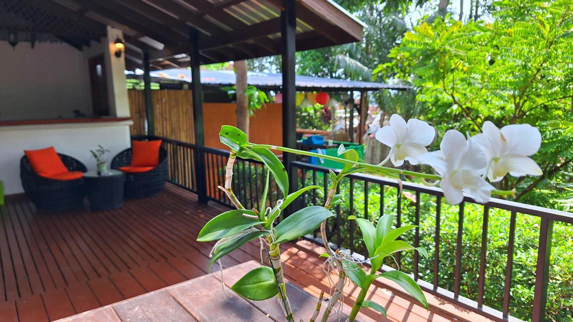 Alpha Gay Resort & Spa - Men Only (Adults Only) Чавенг Экстерьер фото
